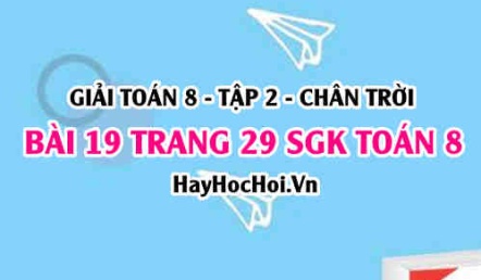 Bài 19 trang 29 Toán 8 Tập 2 Chân trời sáng tạo